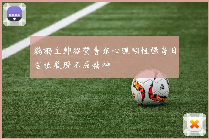 鹈鹕主帅称赞普尔心理韧性强每日苦练展现不屈精神